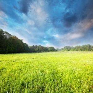 Meet your Posher, Nathan